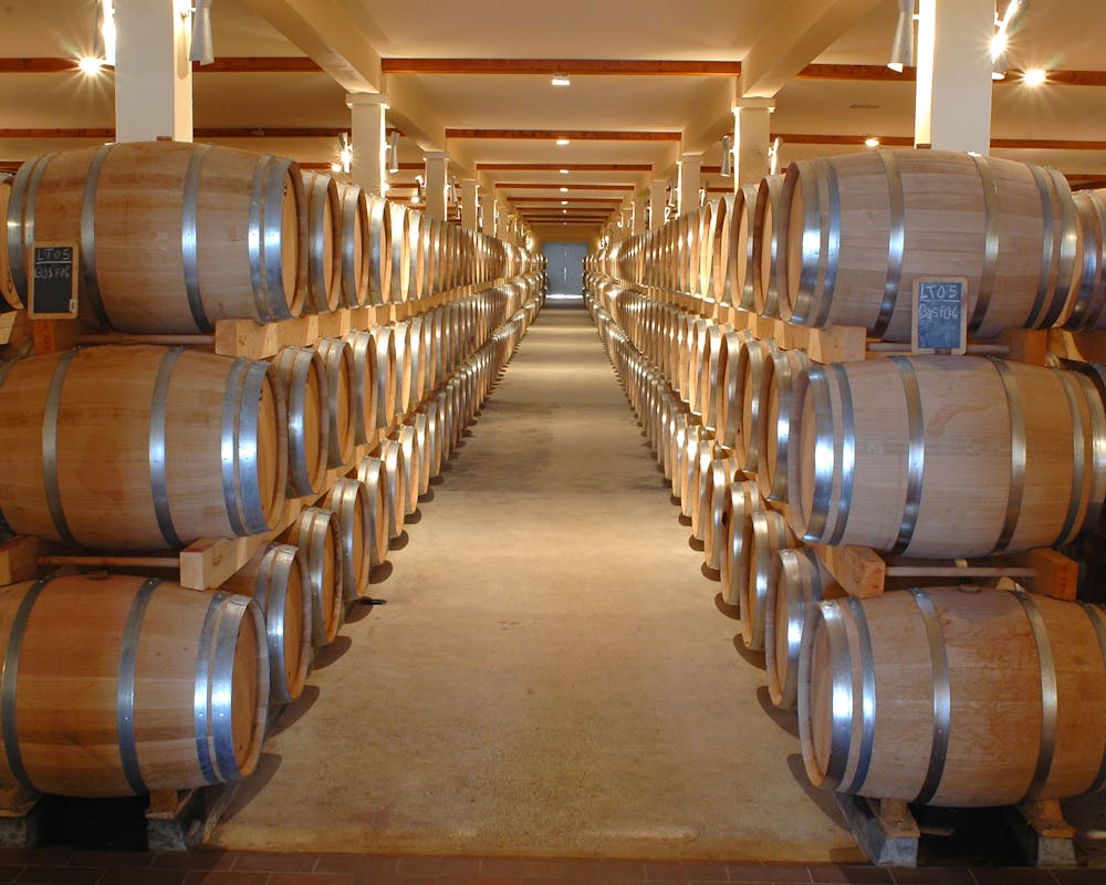 Read more about the article Varil Geri Dönüşümü Hakkında Bilinmeyenler